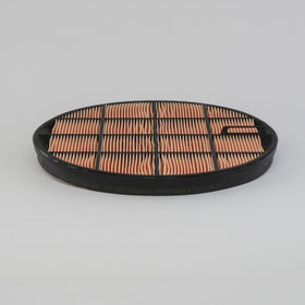 Air Filter, Safety P636759