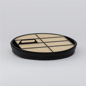 Air Filter Safety P643314