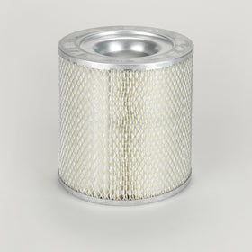 Air Filter P017665