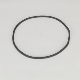Engine Oil Filter Element O-Ring P017804