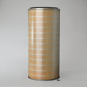 Air Filter P042343