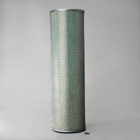 Air Filter P042345