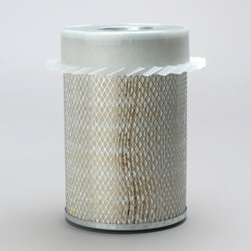 Air Filter P101038