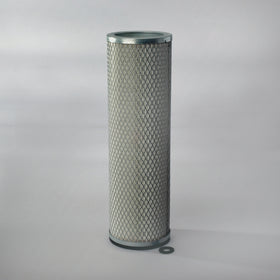 Air Filter P113343