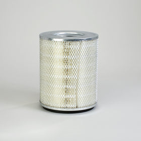 Air Filter P113395