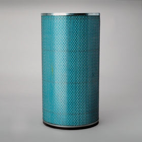 Air Filter P117781