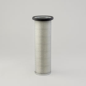 Air Filter P119375