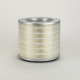 Air Filter P119417