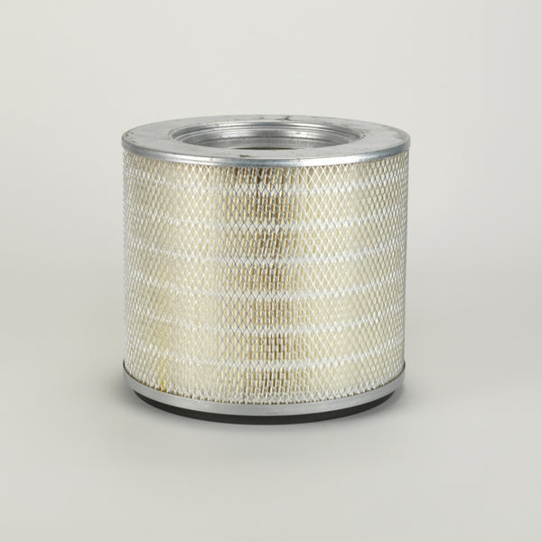 Air Filter P119417