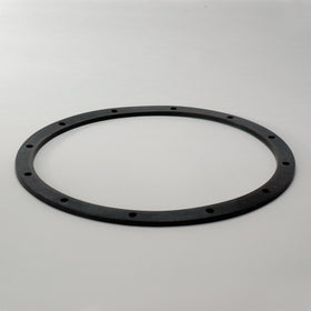 Engine Oil Filter Gasket P123790