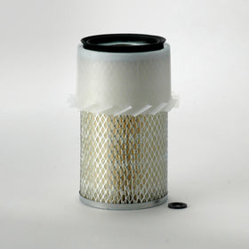 Air Filter P136258