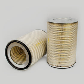 Air Filter P145700