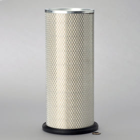 Air Filter P145701