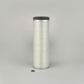 Air Filter P145755