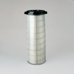 Air Filter P150695