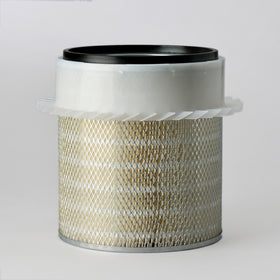 Air Filter P181000