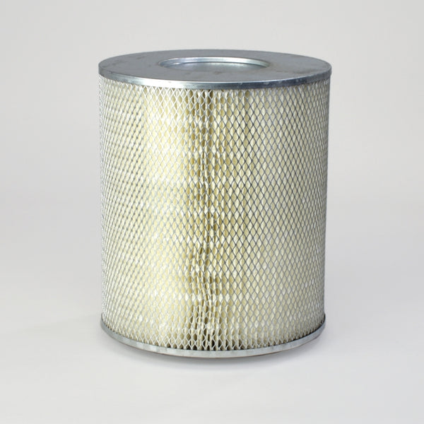 Air Filter P181010