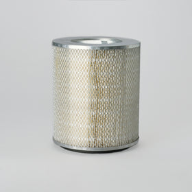 Air Filter P181019