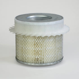 Air Filter P181024