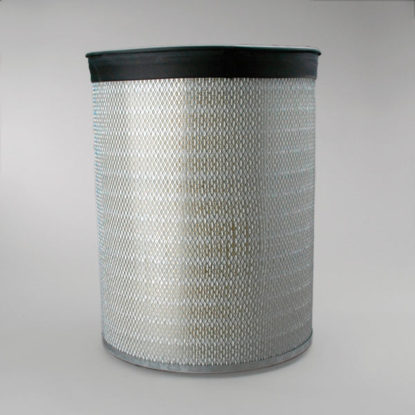 Air Filter P181038