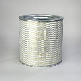 Air Filter P181060