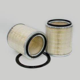 Air Filter P181074