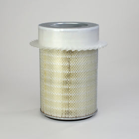 Air Filter P181079