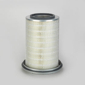 Air Filter P181087