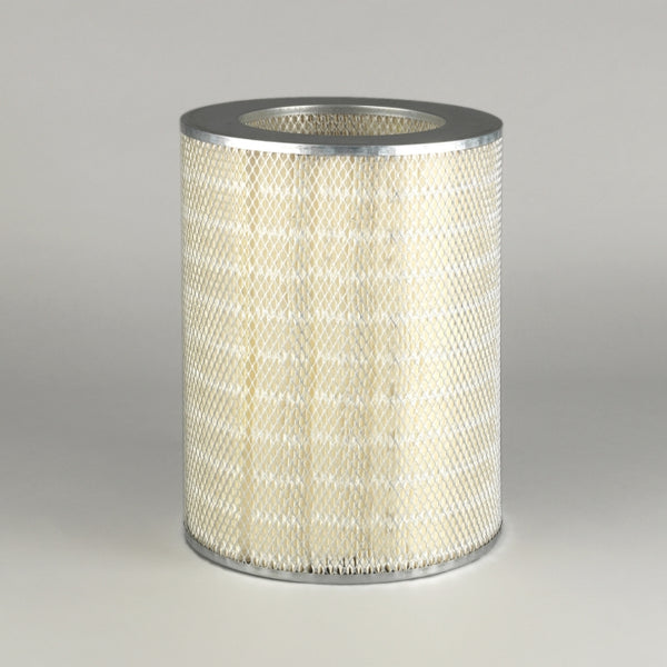 Air Filter P181100