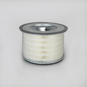 Air Filter P181113