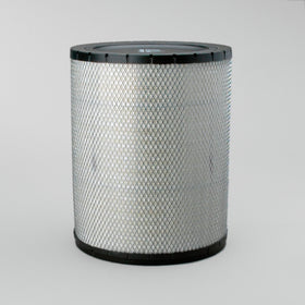 Air Filter P181120