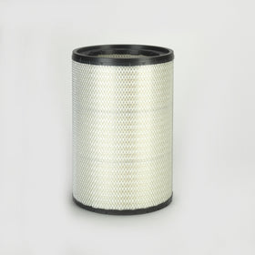 Air Filter P181124