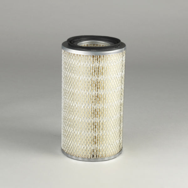 Air Filter P181163