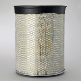 Air Filter P181193