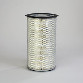 Air Filter P181205