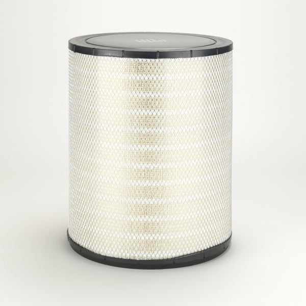 Air Filter P181210