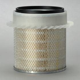 Air Filter P182035