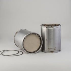 Diesel Particulate Filter P239833
