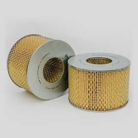 Air Filter P500020