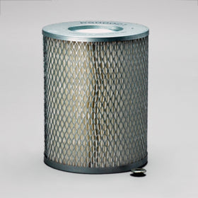 Air Filter P500021