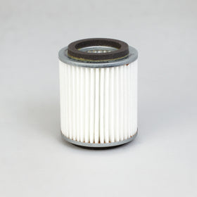 Air Filter P500048