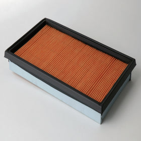 Air Filter P500063