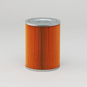 Air Filter P500083