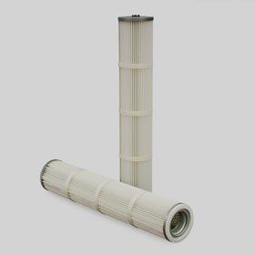 Air Filter P500149