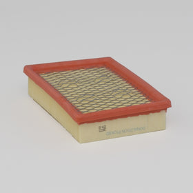 Air Filter P524382