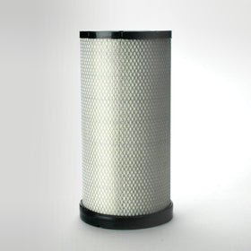 Air Filter P533884