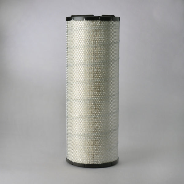 Air Filter P600676