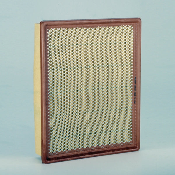 Air Filter P602657