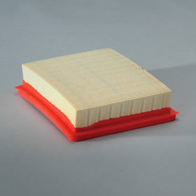 Air Filter P606219