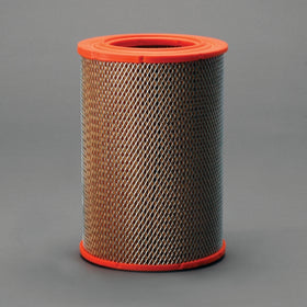 Air Filter P606952